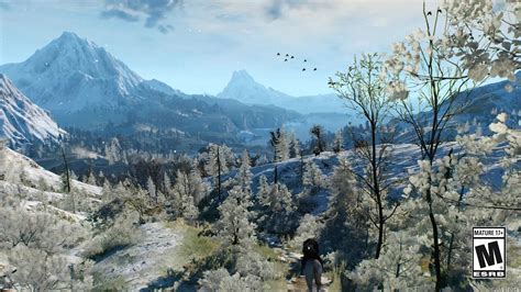 the witcher 3 wild hunt game of the year edition trailer stream haute qualité et