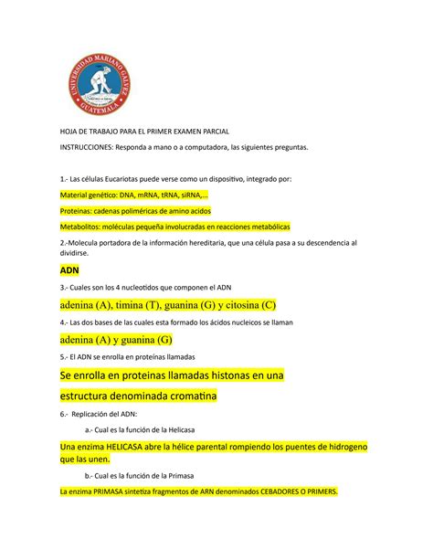 SOLUTION Copia De Hoja De Trabajo Para El Primer Examen Parcial