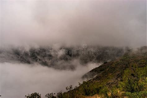 Mountain Slopes And Their Vegetation Covered By Thick Clouds And Fog On