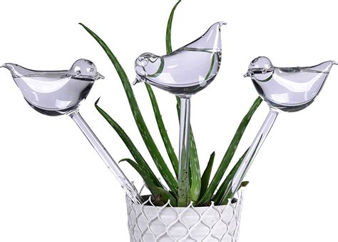 E Kay 3 Pack Plant Waterer Self Watering Globesbird Shape