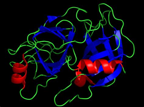 Protease is an enzyme which breaks down proteins and peptides. Protease - EDC