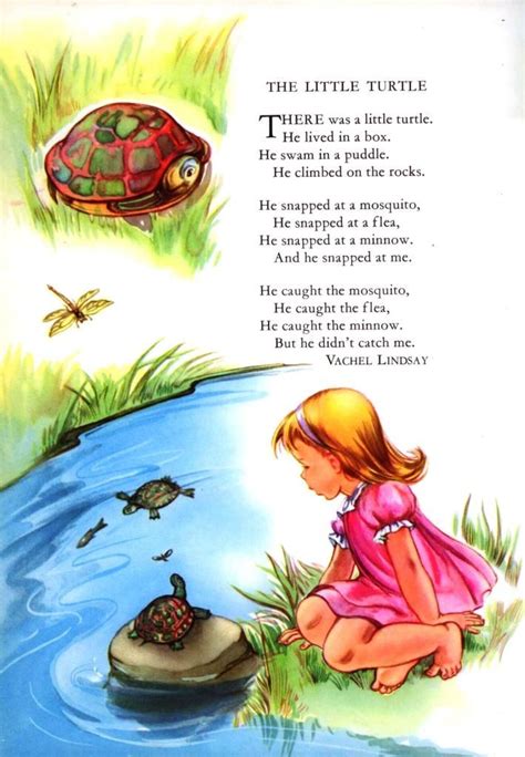 The Little Turtle A Singable Illustrated Poem Sing Books With Emily