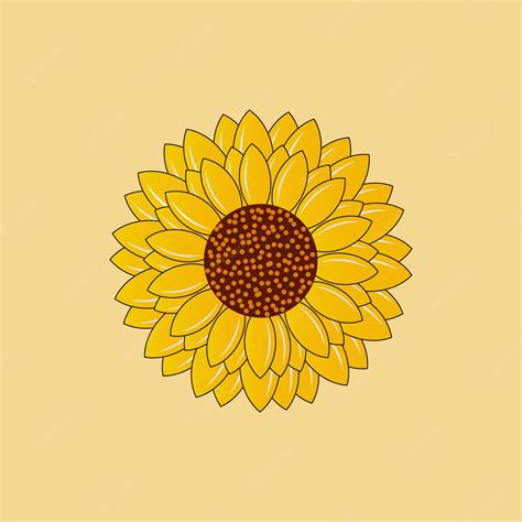 Premium Vector Sunflower Vector Illustration