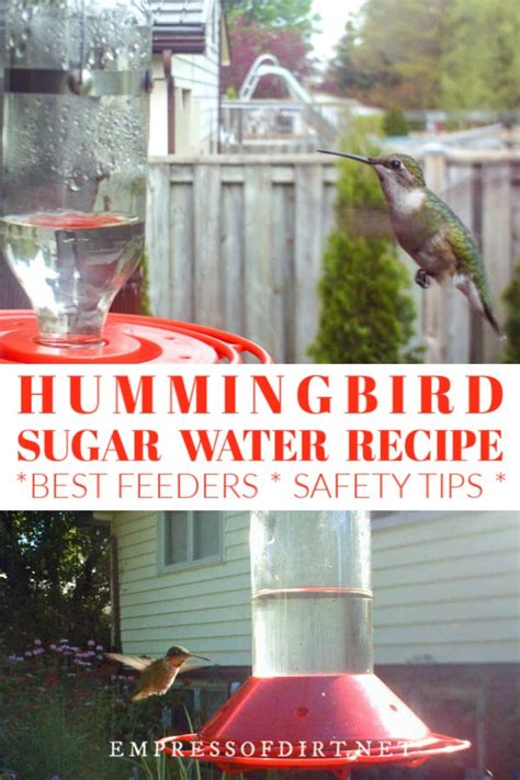 'is a 1:3 hummingbird nectar recipe really best?' in response to a recent post on homemade hummingbird food, which included a recipe for hummingbird nectar that called for 1 part refined white sugar to 3 parts water, conscientous tgn community member kat wrote in with the following concerns: How to Make Hummingbird Food (Sugar Water Recipe ...