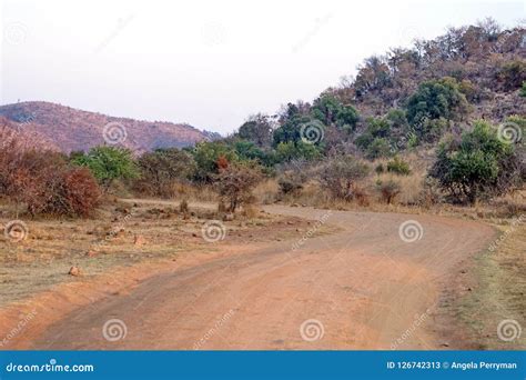 Dirt Road In The Park Stock Image Image Of National 126742313
