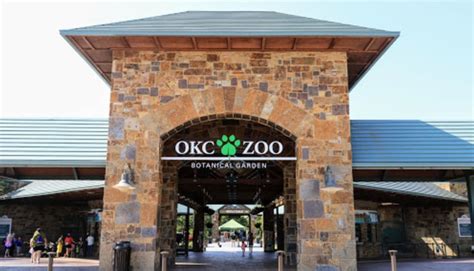 The Oklahoma City Zoo Is Live Streaming Red Pandas For Your Enjoyment