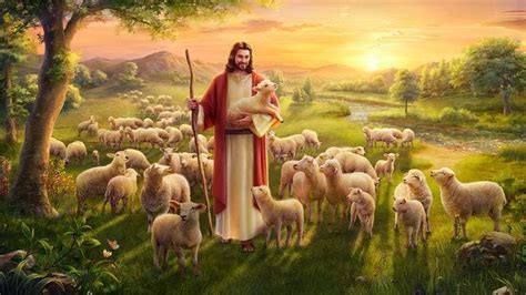 True Meaning Of Parable Of The Lost Sheep — Knowing Gods Will By