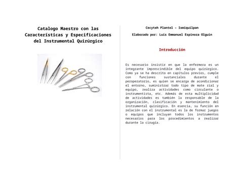 Docx Manual De Instrumental Quirúrgico Dokumentips