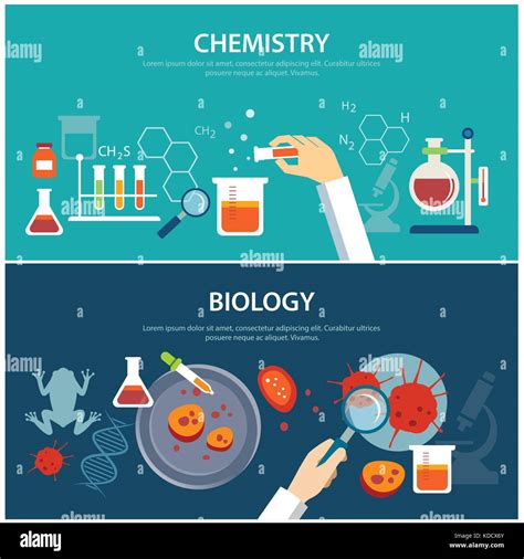 Concepto De Educación Química Y Biología Imagen Vector De Stock Alamy