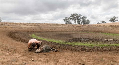 Despite The Drought Australia Is Open For Business