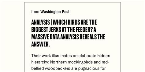 Analysis Which Birds Are The Biggest Jerks At The Feeder A Massive Data Analysis Reveals The