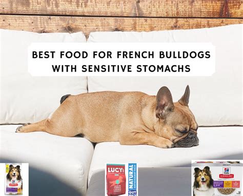 The dog food advisor's 11 best brands for dogs suffering from sensitive stomach. Best Food for French Bulldogs with Sensitive Stomachs ...