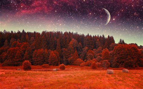 Bakgrundsbilder 2560x1600 Px Höst Fantasi Skog Landskap Måne