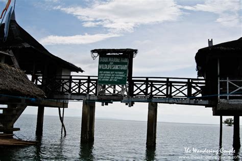 Sidetrip Tabuk Marine Park And Wildlife Sanctuary Palompon Leyte