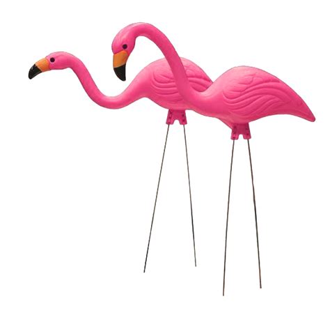 Two Pink Flamingos With Stick Feet Png Transparent Background