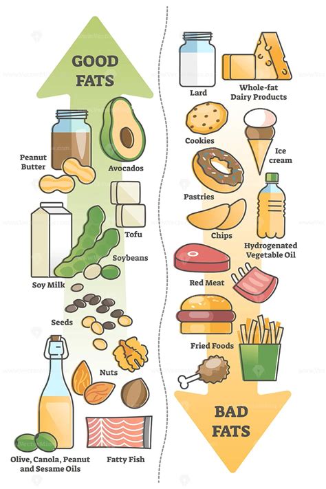 good fats vs bad food for healthy diet and nutritious meal outline diagram vectormine