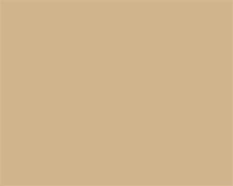 1280x1024 Tan Solid Color Background
