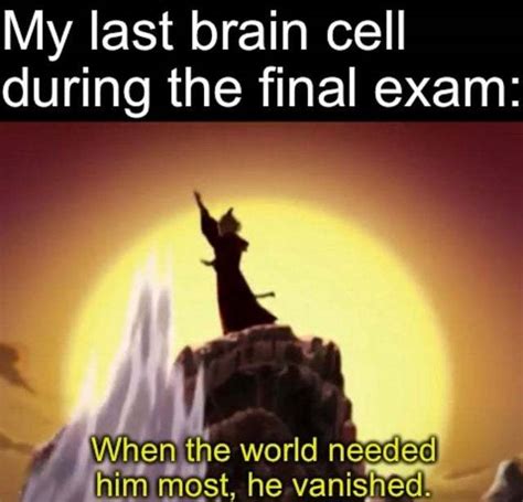 My Last Brain Cell During The Final Exam Meme By Memelust Memedroid