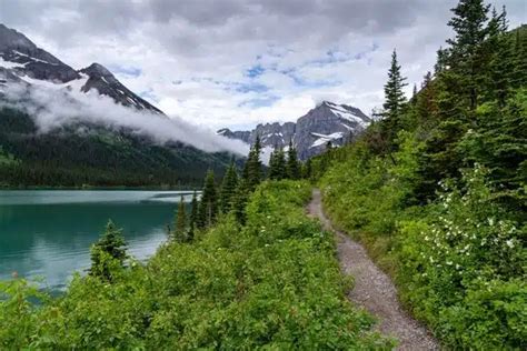 The 5 Best Views In Glacier National Park Classic Journeys