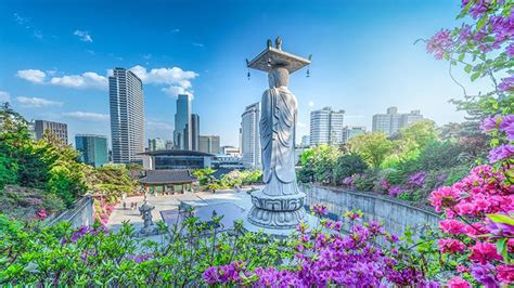 Planning A Trip To South Korea Heres Everything You Need To Know
