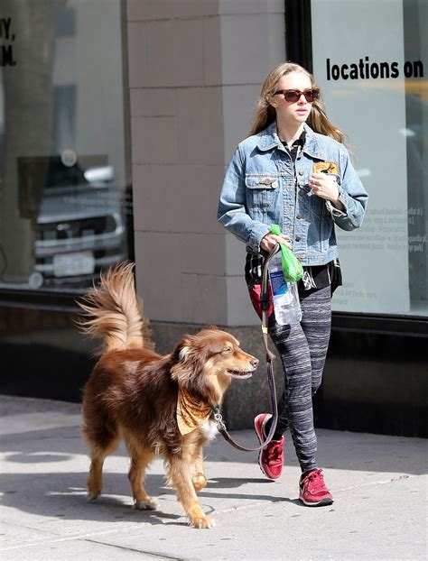 Amanda Seyfrieds Best Dog Walking Looks Vogue