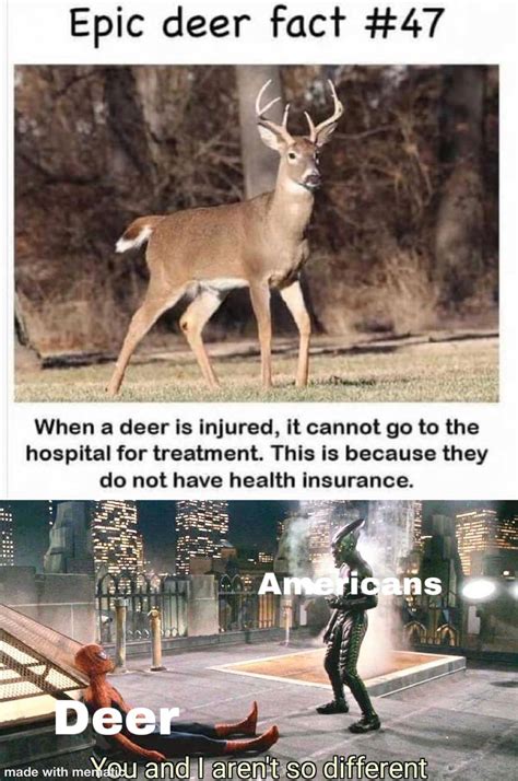New Oh Deer Meme Memes Embarrassing Memes Silly Memes Lord Memes