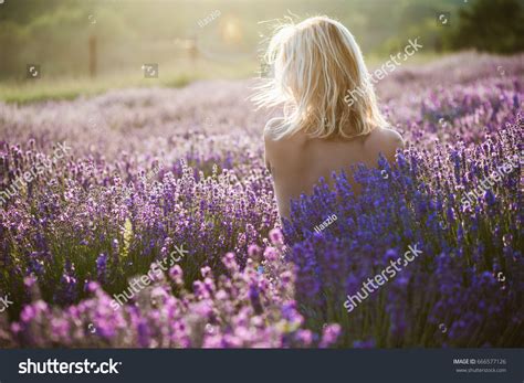 Стоковая фотография Naked Woman Posing Lavender Field Sunset