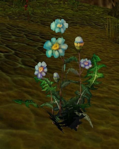 Blindweed Wowpedia Your Wiki Guide To The World Of Warcraft