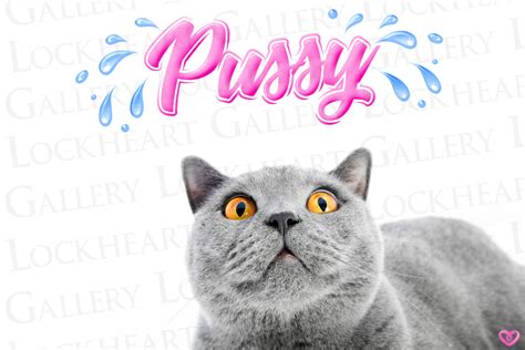 Pussy Cat Ongoing My Xxx Hot Girl