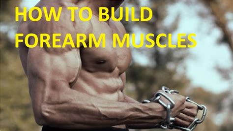 How To Build Forearm Muscle Without Weights 10 Minute Forearm Workout