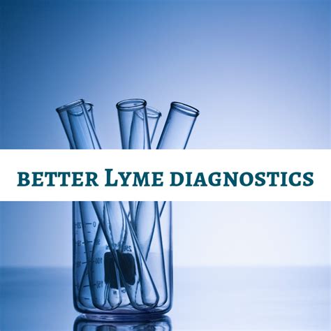 Lyme Sci Paving The Way For Better Lyme Diagnostic Tests
