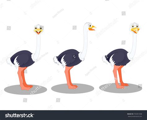 Ostriches Cartoon Vector Image Stock Vector Royalty Free 755951938