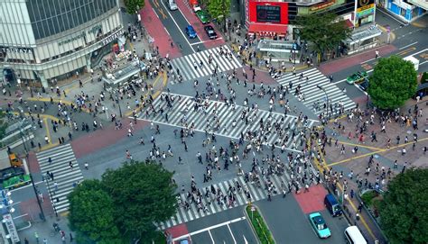 Shibuya Scramble Crossing And Photo Walk
