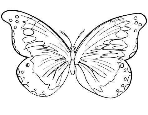 Coloring is a hobby all of us can get behind—children and adults alike! Free Printable Butterfly Coloring Pages For Kids