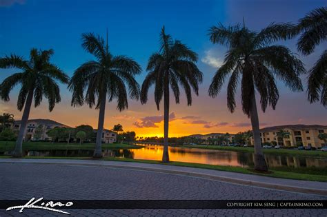 Royal Palm Tree Sunset Over Palm Beach Gardens Hdr Photography By