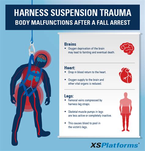 3 Instructions To Prevent Harness Suspension Trauma After A Fall Arrest