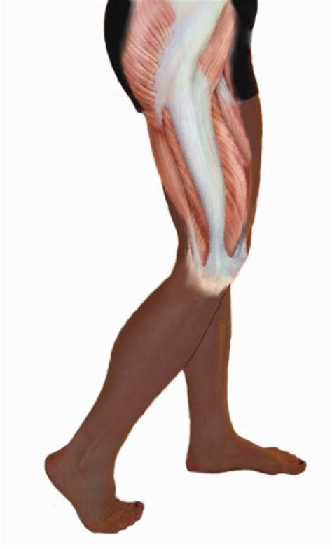 Iliotibial Band Syndrome Treating Bursitis Of The Hip Masaje