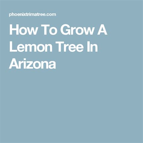 How To Grow A Lemon Tree In Arizona Mango Tree Lemon Tree Mango
