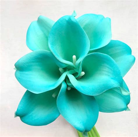 Real Touch Sky Blue Calla Lilies Picasso Calla Lily Bouquet Etsy