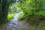 Harry_50680,雙溪,虎豹潭,虎豹潭古道,古道,步道,北勢溪流域,北勢溪上游,新北市,雙溪區 - a photo on Flickriver