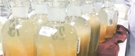 Environmental quality (industrial effluent) regulations 2009. Biochemical Oxygen Demand (BOD) in Wastewater Treatment ...