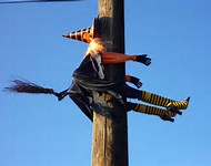 Image result for cartoon of witch flying into tree