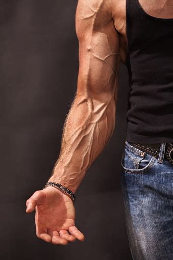 Bodybuilders Hand And Arm With Veins Stock Photo Download Image Now