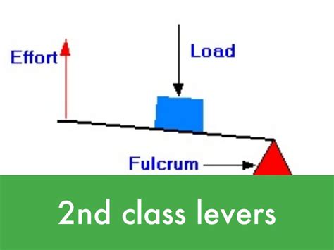 Class 2 Lever Examples