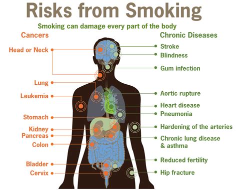 Effects Of Smoking On The Body Southeast Radiation Oncology Group P