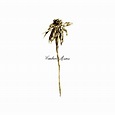 Patrick Watson - Wooden Arms - Reviews - Album of The Year