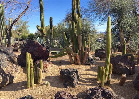 7000 w cactus ave las vegas, nv 89178. Red House Garden: The Ethel M. Chocolate Factory's ...
