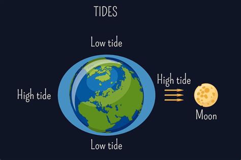 How Does The Moon Affect The Tides On Earth Abc Education