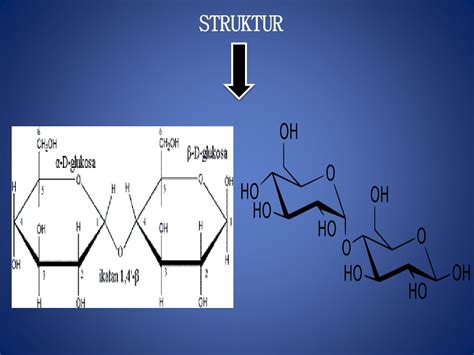 PPT - Disakarida dan Polisakarida PowerPoint Presentation, free