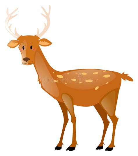 Cute Deer Standing On White Background Stock Vector Illustration Of